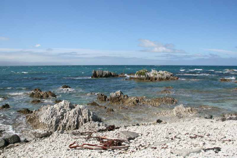 Nieuw-Zeeland 2011 - 1096